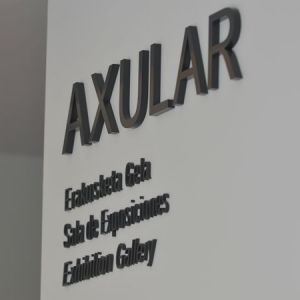 Cómo exponer la investigación (programa actividades)