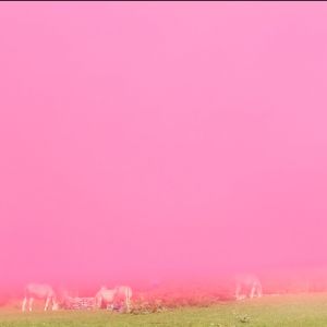 Get me on my back…